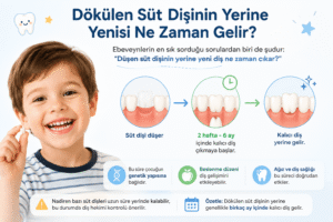 Dökülen Süt Dişinaina Yerine Yenisi Ne Zaman Gelir