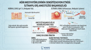 Ağrı Medyatörlerinin Sensitizasyon Etkisi