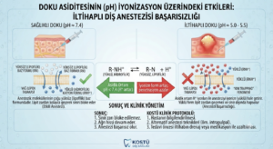 Doku Asiditesinin (pH) İyonizasyon Üzerindeki Etkileri