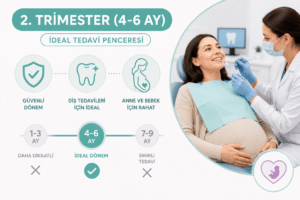 Hamilelikte Diş Tedavisi Nasıl Yapılır ve Güvenli Midir? 4 İkinci trimester (4-6 aylar) ideal tedavi penceresi