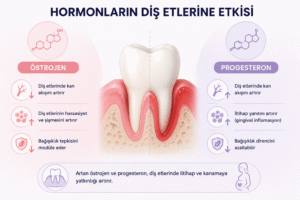 Hamilelikte Diş Tedavisi Nasıl Yapılır ve Güvenli Midir? 13 Östrojen ve progesteron hormonlarının diş etlerine etkisi