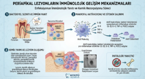 Periapikal Lezyonların İmmünolojik Gelişim Mekanizmaları