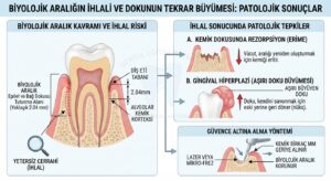 Biyolojik aralığın ihlali ve dokunun tekrar büyümesi
