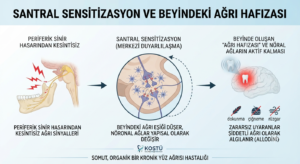 Santral Sensitizasyon ve Beyindeki Ağrı Hafızası